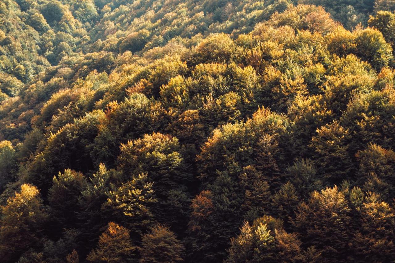 Eyhera Perkain Aldudes Bagian luar foto